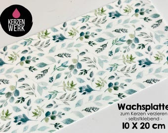 Wax sheet No. 33 Eucalyptus leaves 20 x 10 cm - Decorate your own candle - Make your own candle
