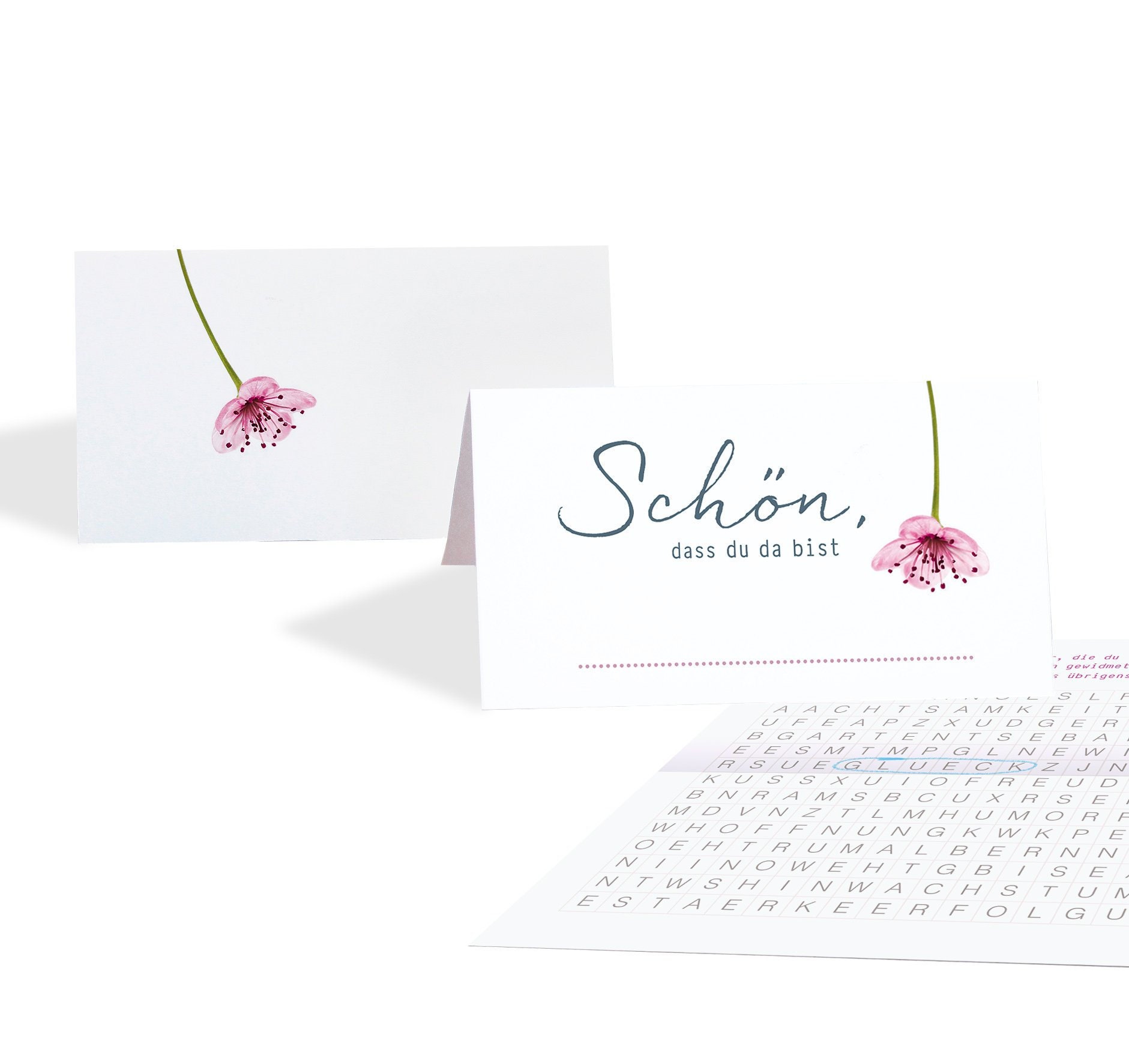 10 Tischkarten Für Hochzeit Mit Ausgeschnittener Kutsche & Zeltmuster – Faltbare Sitzkarten | Rosa, Weiß, Gold