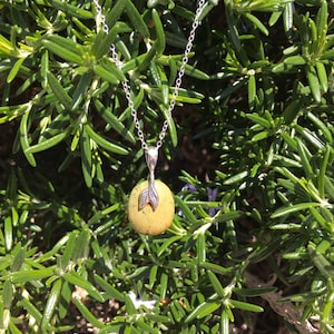 Wunderschöner Türkis Anhänger. + Meerjungfrauen Schwanz Pinch Ballen