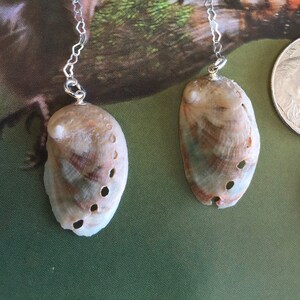 Abalone shells earrings