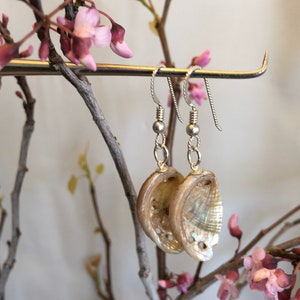 Abalone Shell oorbellen