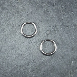 1 pair of hoop earrings, stainless steel, ear hooks, leverback, 10177