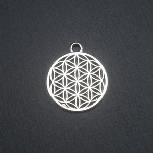 Könnte beinhalten: Silberner Anhänger mit einem detaillierten Lebensblume-Design. Der Anhänger ist rund und hat ein zartes, filigranes Muster.