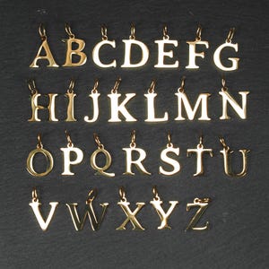 1 Buchstaben Anhänger Edelstahl vergoldet Initialen minimalistisch Geschenk Name Statement, 11190