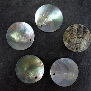 Könnte beinhalten: Fünf runde, irisierende Perlmutt-Scheiben mit einem Loch in der Mitte. Die Muscheln sind in verschiedenen Grüntönen, Blau- und Grautönen.
