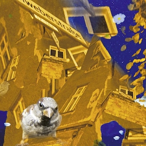 Op de afbeelding: Een surrealistische collage met een geel gebouw met de tekst "Weberstraße" aan de zijkant, gedeeltelijk ondergedompeld in een blauwe en met sterren bezaaide waterscène. Het gebouw wordt omringd door vissen, een haai en vogels.