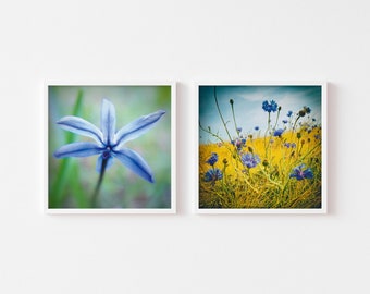 Fotoserie „Blaue Blüten“, 2 Fotografien, Fineartprints, ohne Bilderrahmen, 20 x 20 cm, Fotogeschenk