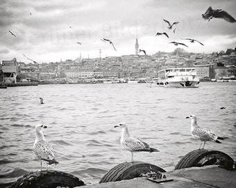 Fotografie „Möwen“, Istanbul, Goldenes Horn, hochwertiger Foto-Abzug, schwarzweiß mit Sepia-Effekt, 20 x 20 cm, Fotogeschenk