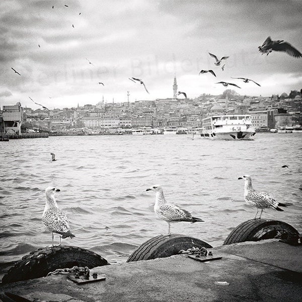Fotografie „Möwen“, Istanbul, Goldenes Horn, hochwertiger Foto-Abzug, schwarzweiß mit Sepia-Effekt, 20 x 20 cm, Fotogeschenk