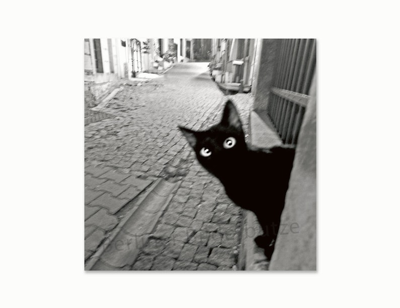 Fotografie Teufelchen, Fineartprint, schwarzweiß mit Sepia-Effekt, 20 x 20 cm, Fotogeschenk Bild 2