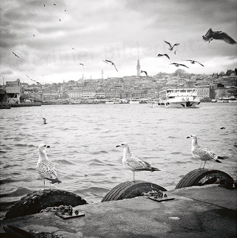 Fotografie Möwen, Istanbul, Goldenes Horn, hochwertiger Foto-Abzug, schwarzweiß mit Sepia-Effekt, 20 x 20 cm, Fotogeschenk Bild 1