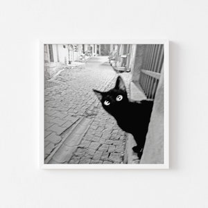 Fotografie Teufelchen, Fineartprint, schwarzweiß mit Sepia-Effekt, 20 x 20 cm, Fotogeschenk Bild 3