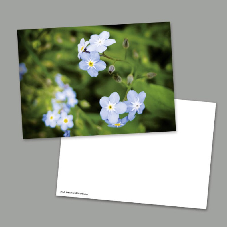 3 Postkarten Blaue Blumenwiese, Grußkarten, DIN A6, 105 x 148 mm Bild 2