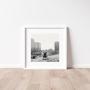 Fotografie Berliner Spatz, Fineartprint, schwarzweiß mit Sepia-Effekt, 15 x 15 cm bzw. 20 x 20 cm, mit/ohne Bilderrahmen, Geschenk Bild 6