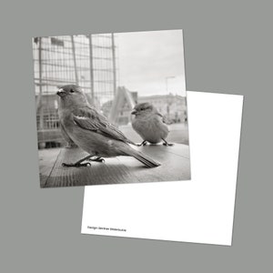 Photography series Berlin, 4 cards in a set, square 12 x 12 cm, black and white with sepia effect image 5