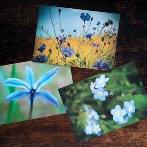 3 Postkarten Blaue Blumenwiese, Grußkarten, DIN A6, 105 x 148 mm Bild 7