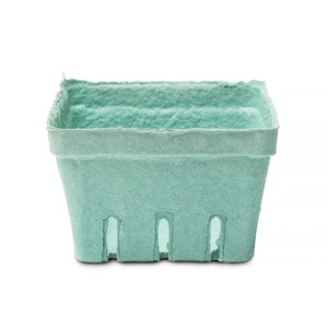 May include: A light green paperboard berry basket with a rectangular shape and five cut-out holes in the bottom.