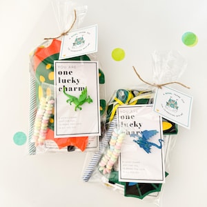 Dragon Prince Kids Party Favor Bag | Enchanted Prince Knight Party | Kids Fairy Tale Birthday Party Favor Bag | Guest Favor | Party Bag