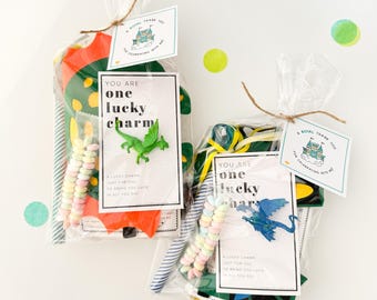 Dragon Prince Kids Party Favor Bag | Enchanted Prince Knight Party | Kids Fairy Tale Birthday Party Favor Bag | Guest Favor | Party Bag