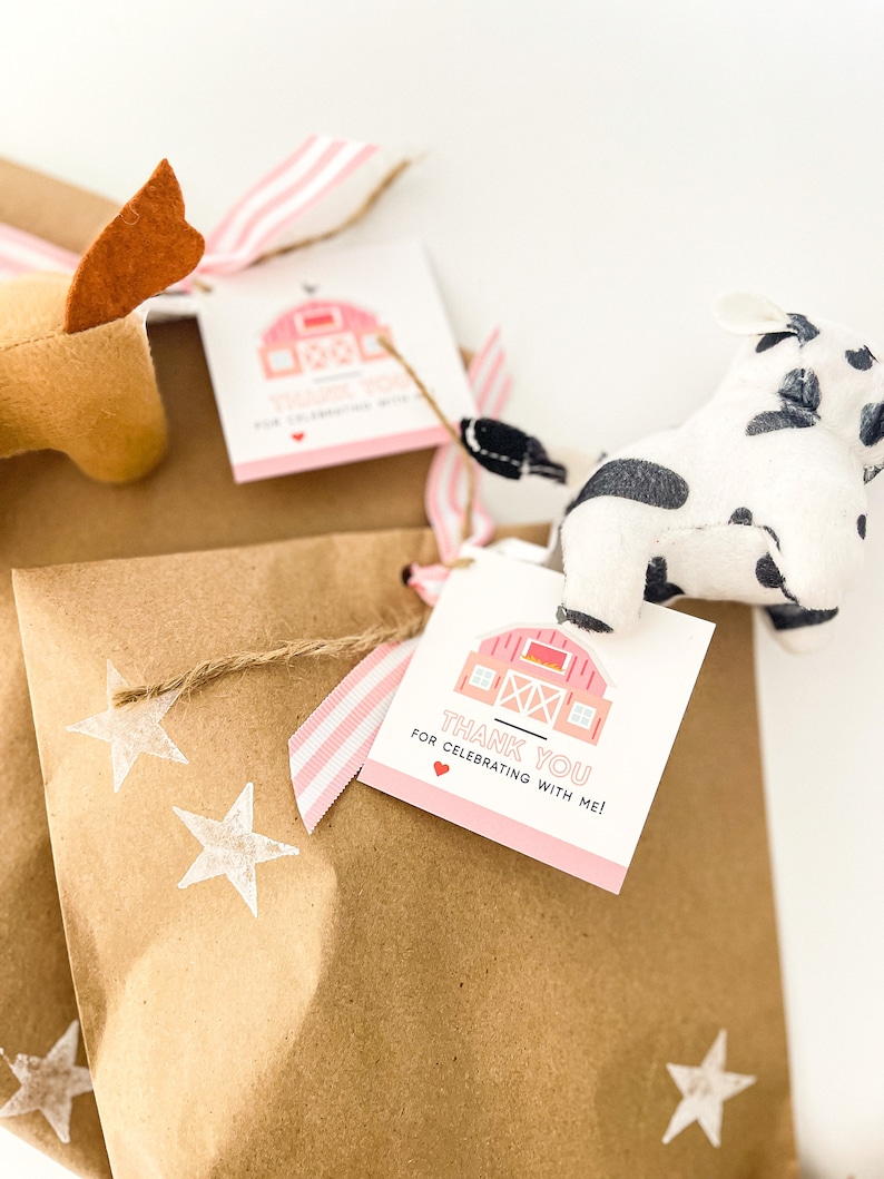 Pink or Red Farm Theme Party Favor Bags | Barnyard Birthday Goodie Bags ...