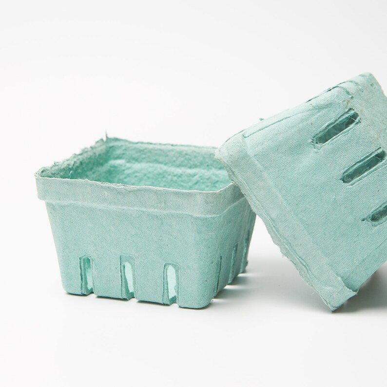May include: A light green, cardboard, square-shaped, berry basket with a lid. The basket has four rows of holes on the sides and the lid has three rows of holes.