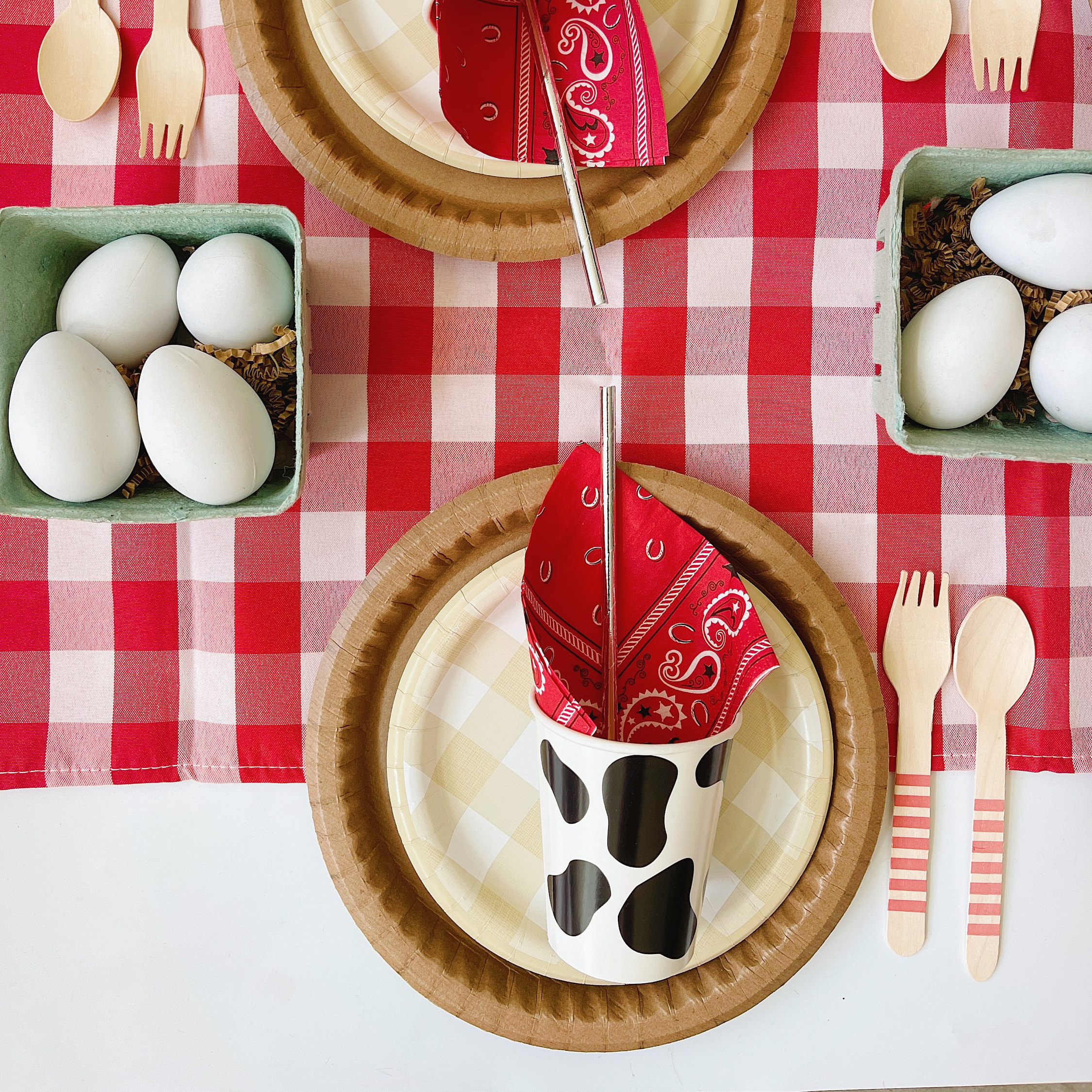 Red Farm Theme Party Kit Red Checker Barnyard Bash Birthday Etsy