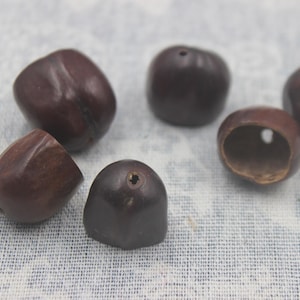 Peut inclure: Un ensemble de six perles en graines brun foncé, lisses et arrondies. Chaque perle présente un petit trou centré percé sur le dessus, dont une perle semble évidée, révélant un intérieur concave et une ouverture visible sur le côté.