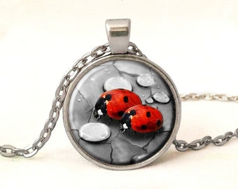 Pendentif coccinelles, 0101POS