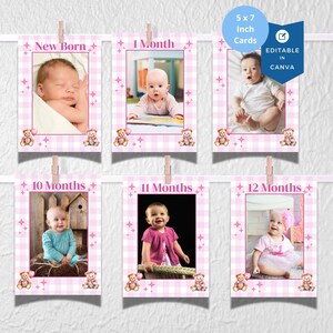Modèle sur toile de cartes-photos pour pique-niquer avec un ours en peluche rose - baby shower, premier anniversaire, accessoire de photographie amusant, décoration de fête TBP2023