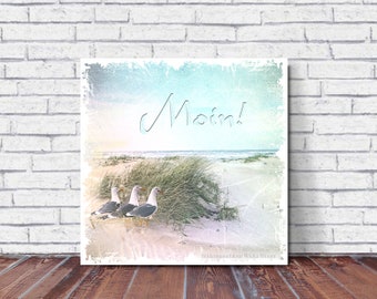 MOIN Maritimes Tierbild auf Holz Leinwand Kunstdruck Möwen Seevögel Sommer Strand Meer Wanddeko Bild Landhausstil Shabby Chic Vintage Style