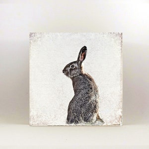 HASE Waldtiere Wandbild auf Holz Leinwandbild Kunstdruck Wanddeko im Landhausstil Shabby Chic Vintage Style Geschenk Handmade günstig kaufen
