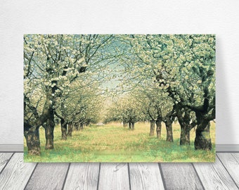 Paysage fleur de pommier décoration murale sur toile en bois impression d'art style maison de campagne shabby chic style vintage acheter pas cher arbres fleurs printemps