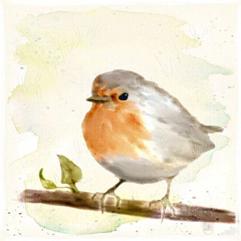 LITTLE ROBIN wall picture on wooden canvas fine art print poster bird nature country house style pastel watercolor picture hand painted buy cheap image 8