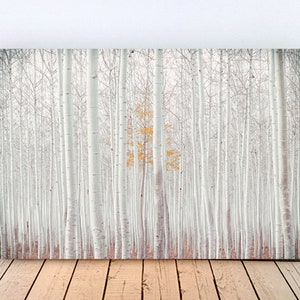 WHITE FOREST Bild auf Holz Leinwand Kunstdruck Print Wald Birken Bäume Landhausstil Natur Shabby Chic Vintage Style Handmade günstig kaufen Bild 1