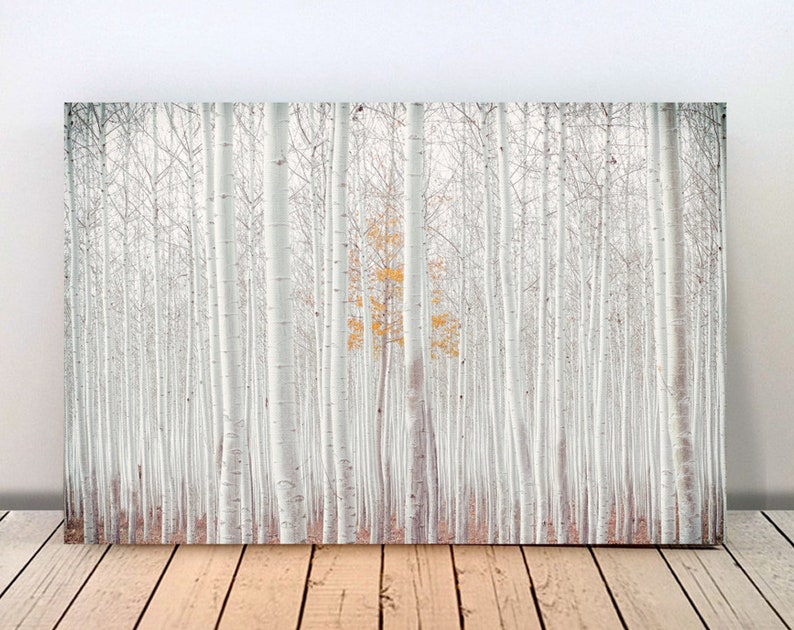 WHITE FOREST Bild auf Holz Leinwand Kunstdruck Print Wald Birken Bäume Landhausstil Natur Shabby Chic Vintage Style Handmade günstig kaufen Bild 1