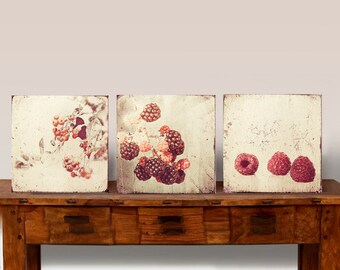 BAIES ROUGES Fruits Lot de 3 tableaux muraux sur toile en bois - Impression d'art - Baies - Décoration murale d'automne - Style maison de campagne - Style shabby chic vintage