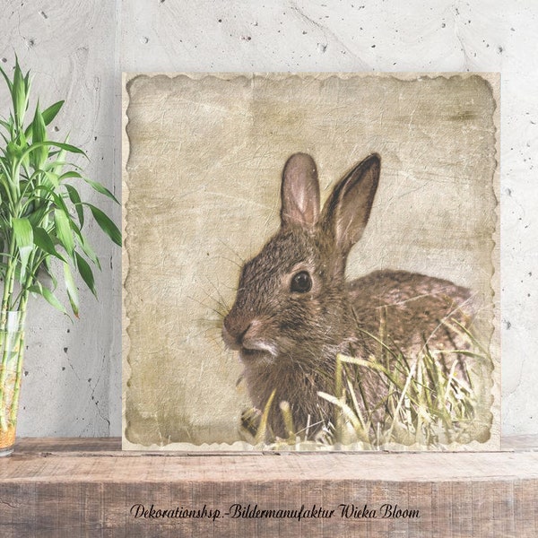 Waldtiere HASE Sephia Wandbild auf Holz Leinwand Kunstdruck Wanddeko Landhausstil Tierwelt Shabby Chic Vintage Style Geschenk günstig kaufen