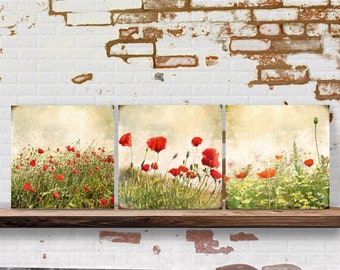 Fleurs coquelicots triptyque image de fleur sur toile en bois impression d'art champ de coquelicots fleurs de prairie tableau mural style maison de campagne style shabby chic style vintage