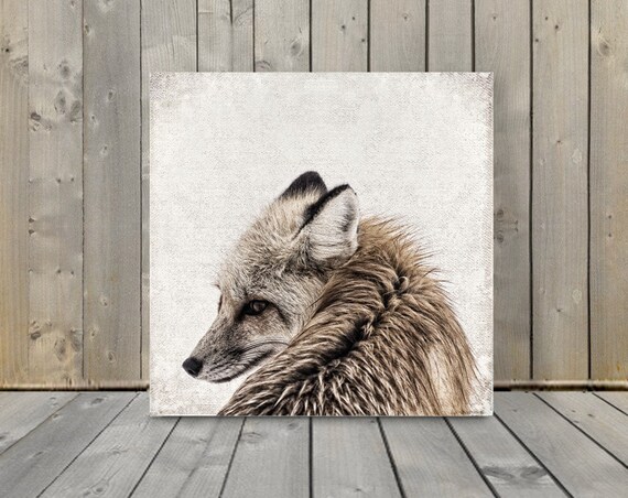 Waldtiere Fuchs Tierbild Auf Holz Leinwand Kunstdruck Fuchs Etsy