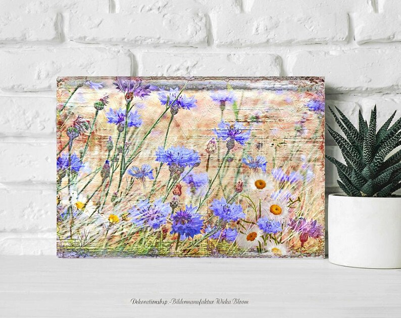 Blue CORNFLOWERS wall picture on wooden canvas art print summer flowers flower meadow wall decoration country house style Shabby Chic VintageArt buy cheaply image 1