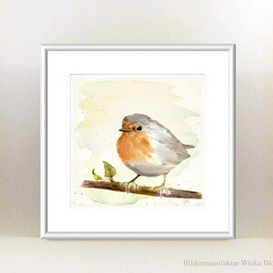 LITTLE ROBIN wall picture on wooden canvas fine art print poster bird nature country house style pastel watercolor picture hand painted buy cheap image 5
