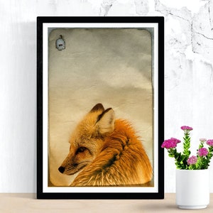 Forest animals FOXES animal picture on wood canvas art print wood print fox fox wall decoration picture country style shabby chic vintage style image 2