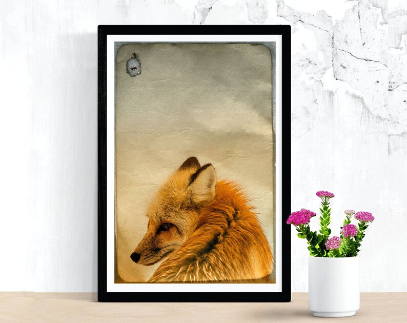 Forest animals FOXES animal picture on wood canvas art print wood print fox fox wall decoration picture country style shabby chic vintage style image 2