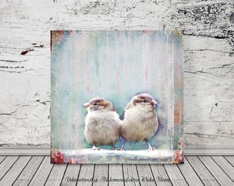 Birds SPATZENDUO Tierbild auf Holz Leinwand Kunstdruck Vögel Sparrow Sperling Wanddeko Bild Landhausstil Shabby Chic Vintage Style Handmade