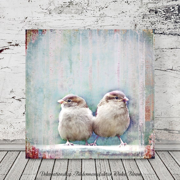 Birds SPATZENDUO Tierbild auf Holz Leinwand Kunstdruck Vögel Sparrow Sperling Wanddeko Bild Landhausstil Shabby Chic Vintage Style Handmade