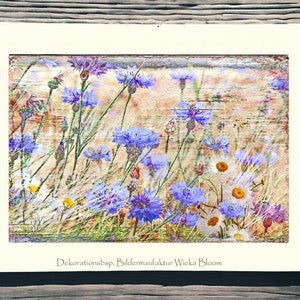 Blue CORNFLOWERS wall picture on wooden canvas art print summer flowers flower meadow wall decoration country house style Shabby Chic VintageArt buy cheaply image 8