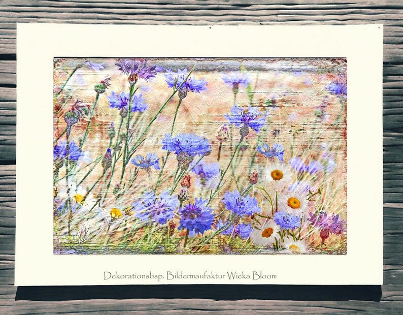 Blue CORNFLOWERS wall picture on wooden canvas art print summer flowers flower meadow wall decoration country house style Shabby Chic VintageArt buy cheaply image 8