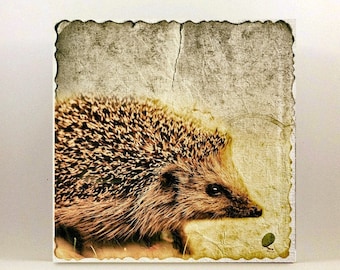 Buy forest animals HEDGEHOG wall picture on wooden canvas art print hedgehog spiny animal wall decoration picture country house style nature shabby chic vintage style