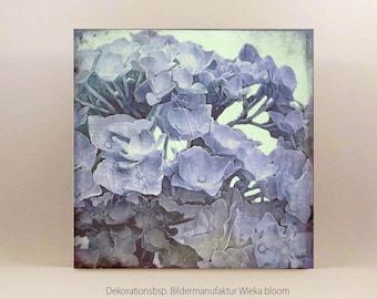 HORTENSIE in blau Wandbild auf Holz Leinwand Kunstdruck Sommerblumen Wanddeko Landhausstil Shabby Chic Vintage Style Retro handmade kaufen