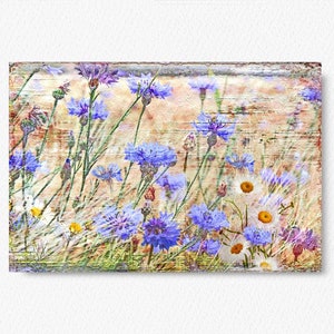 Blue CORNFLOWERS wall picture on wooden canvas art print summer flowers flower meadow wall decoration country house style Shabby Chic VintageArt buy cheaply image 4